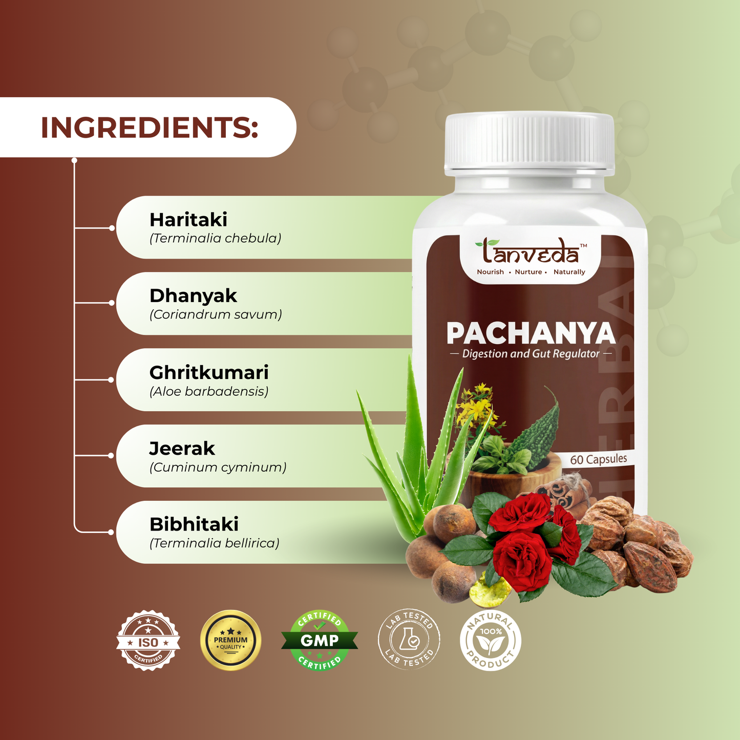 Pachanya